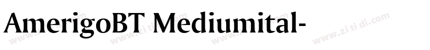 AmerigoBT Mediumital字体转换